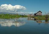 INLE LAKE -ORTI GALLEGGIANTI 3